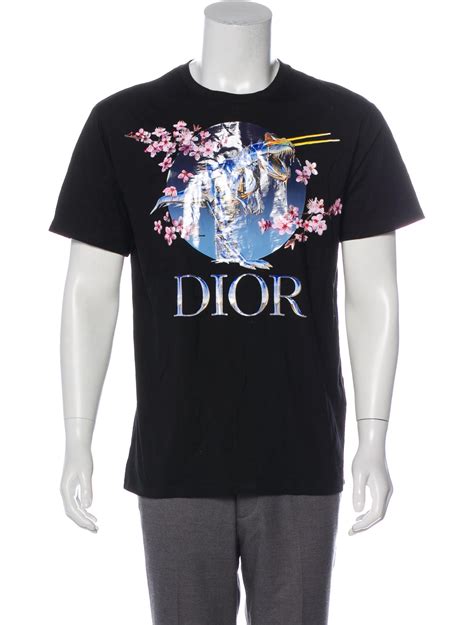 dior t shirt dress